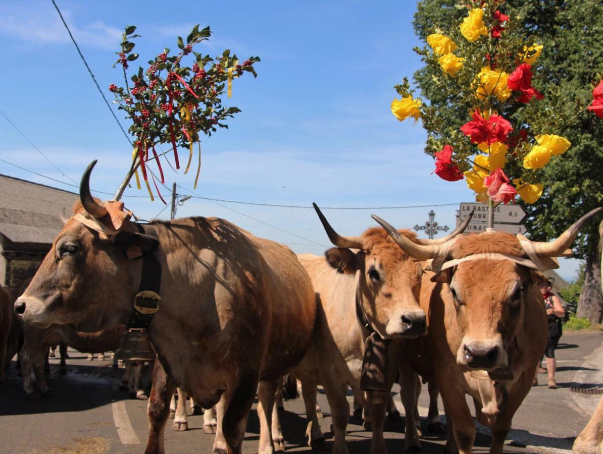 Aux Berges Du Coubisou Bed & Breakfast Ngoại thất bức ảnh